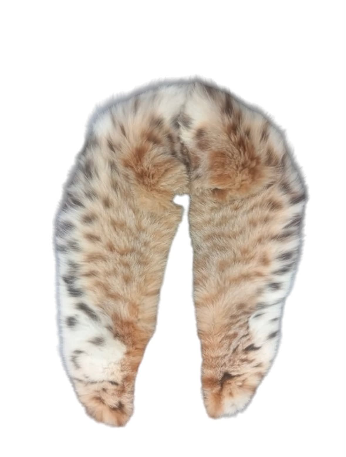 Lynx Feldkragi