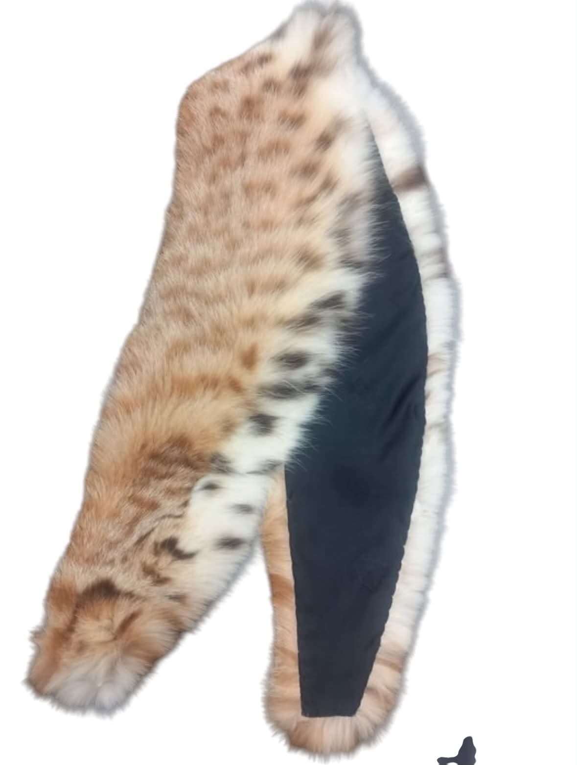 Lynx Feldkragi