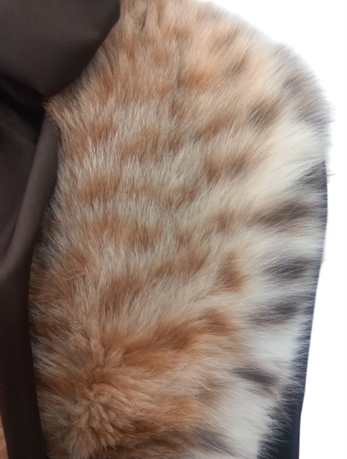 Lynx Feldkragi